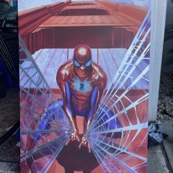 Spider-man Wall decore