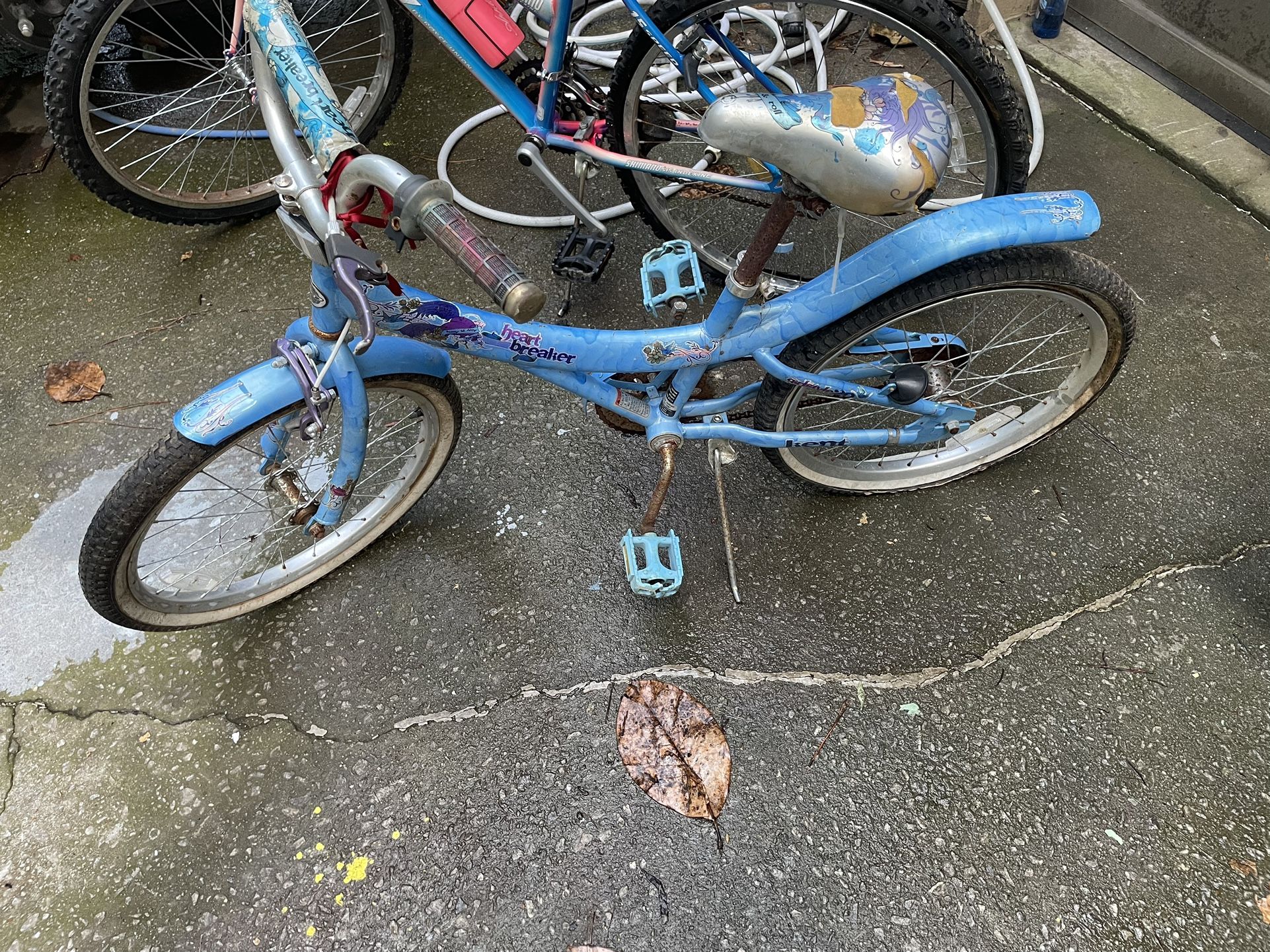 Kent Heart Breaker Girls Bike 