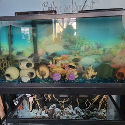 One Set Of 55 Gallon Tank W/Metal Stand & Lid W/light "Water Is FREE" $150 YouTube "RLV1BX"