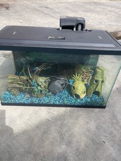 Fish tank