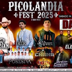 PICOLANDIA 6/14