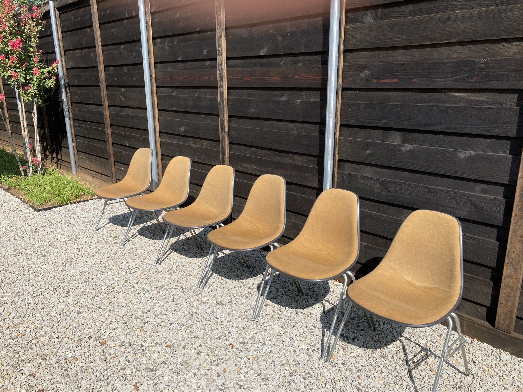 Mid Century Modern Eames Shell Chair Set Of 6