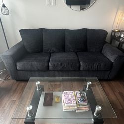 Couch and Coffee Table