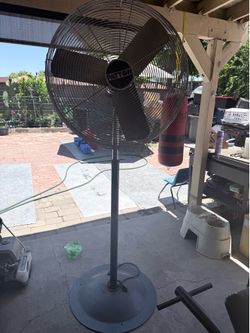 Big fan