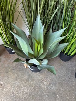 Artificial Plants Wholesale