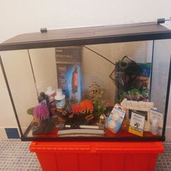 Complete Fish Aquarium Setup