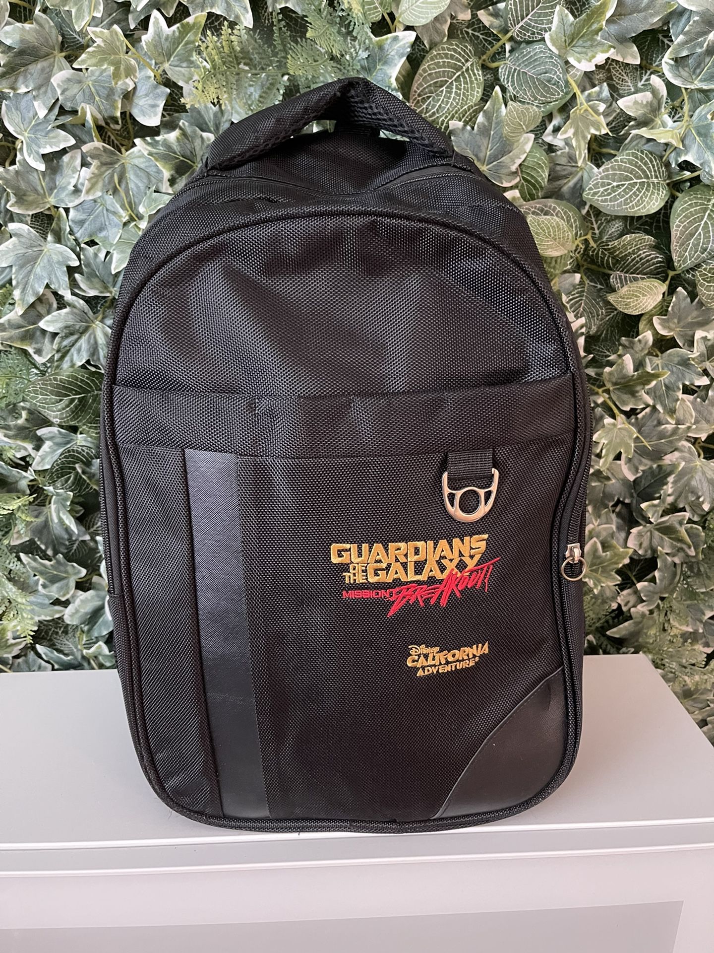 Laptop backpack ($12)