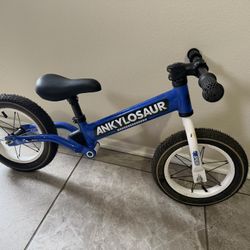 Balance Kids Bike 2-5 Year Olds