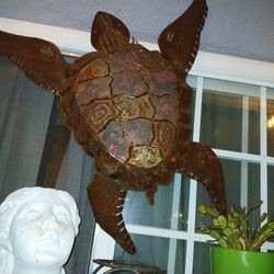 Metal Turtle