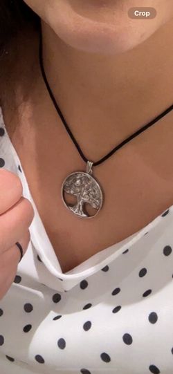 Lost Necklace