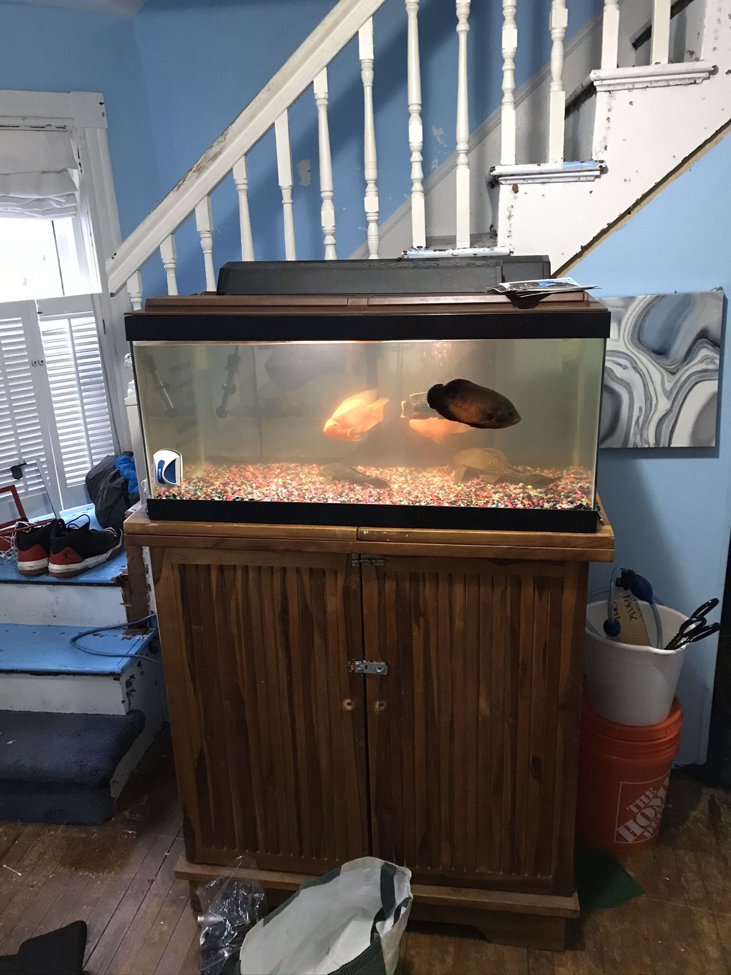 40 gallon tank with fish, filters and all accessory’s bar not for sale 200 or best offer