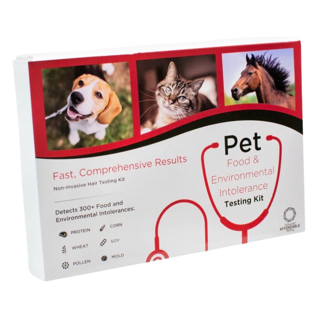5Strands Pet Food & Environmental Intolerance Testing Kit Fast!(Dogs/Cat/Horses)