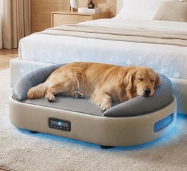 Ebern Designs Smart Temperature Control Pet Sofa Bed