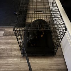 Small Dog Crate