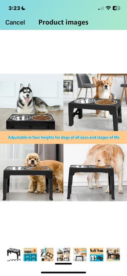 ELEVATED DOG BOWL