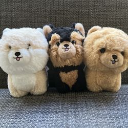 Aurora Teddy Pets  Pomeranian, yorkie, chow chow   $20 for all 3