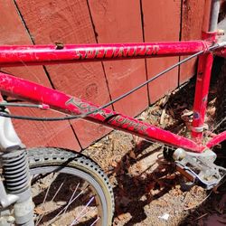 Bicycle 