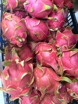 Fresh Dragon Fruit (White)