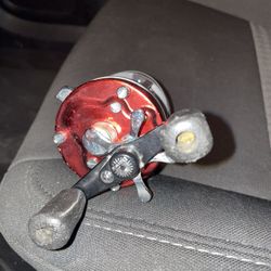 Daiwa Baitcaster  Reel