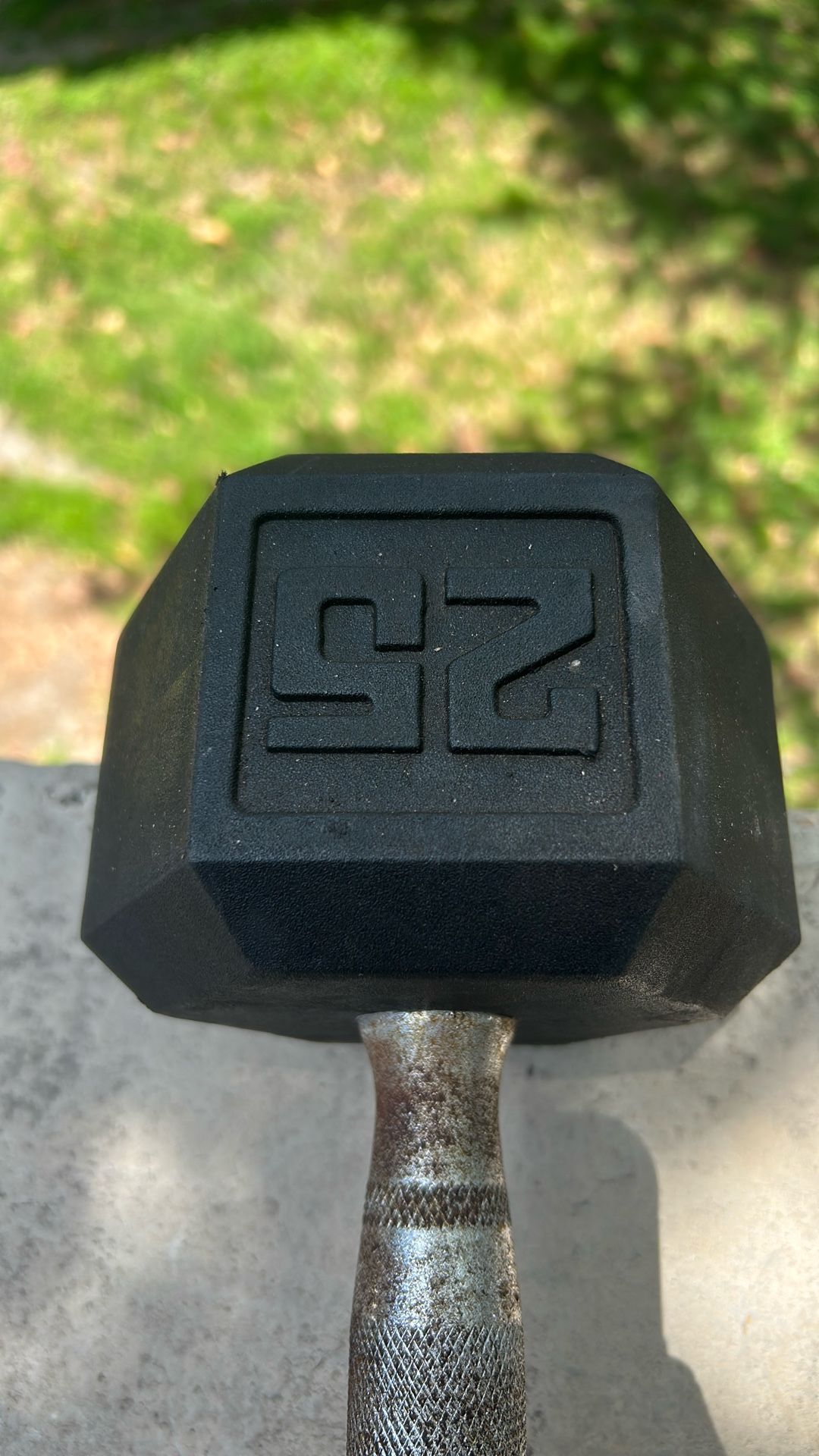 25lbs Dumbbell 