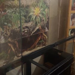 Reptile Aquarium