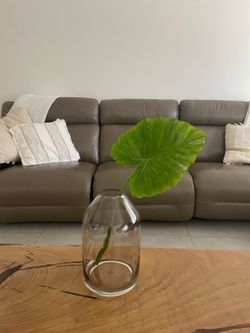 Hearth & Hand with Magnolia smoked glass jug vase
