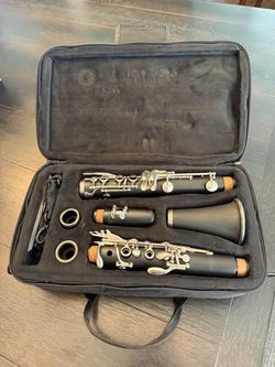 Del Sol Student Clarinet w/ Carrying Case – Great for Beginners