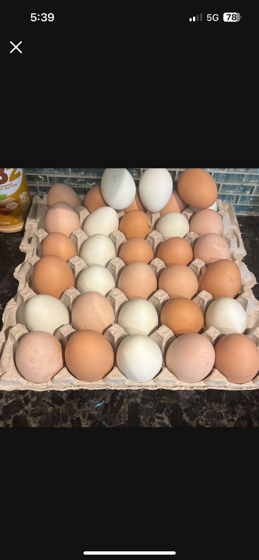Free Range Chicken Eggs