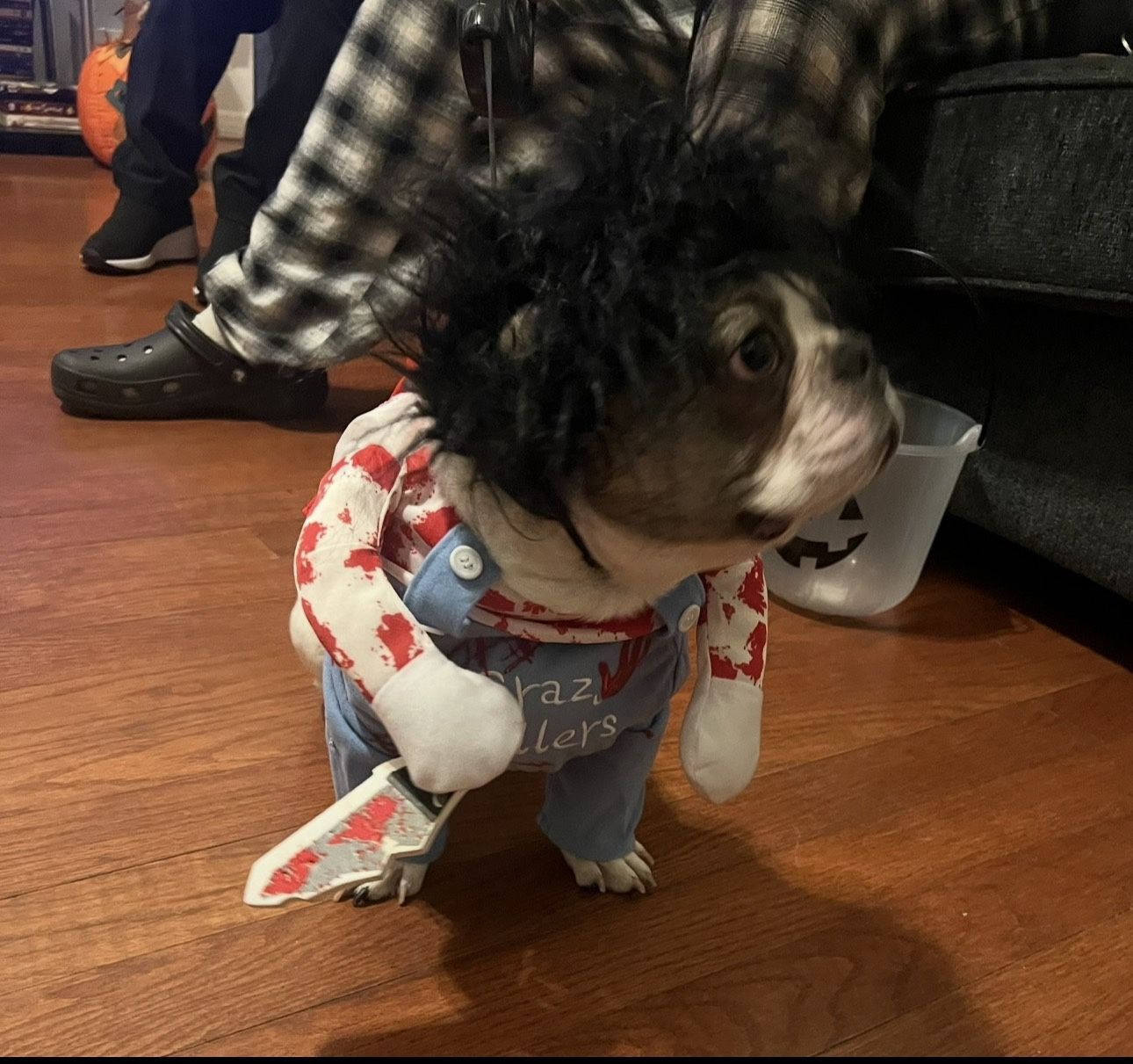 Pet Costume Crazy Killer Size S