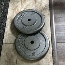 Pair of 25 lb Barbell Weight Plates