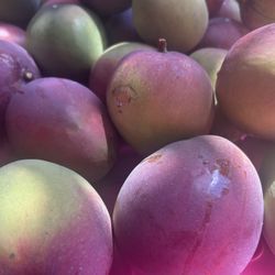 Mangos 🥭 