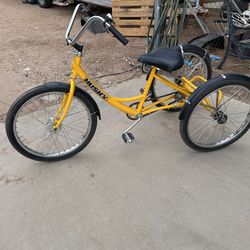 Beach Tri Bike (huskey)