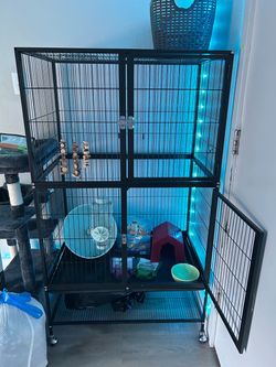Rat or small animal cage