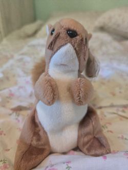 RETIRED ORIGINAL Nuts Ty Beanie Baby