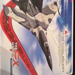 Fxminator RC Plane