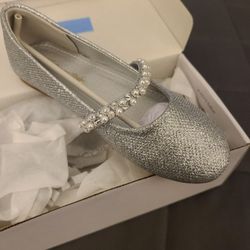 New Flat Silver Shoes 