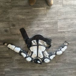 Fox, Riding Armor And Under Armour.