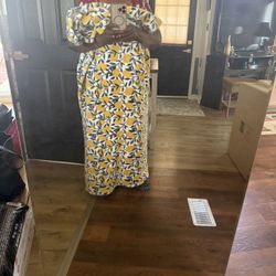 Free Long Mirror