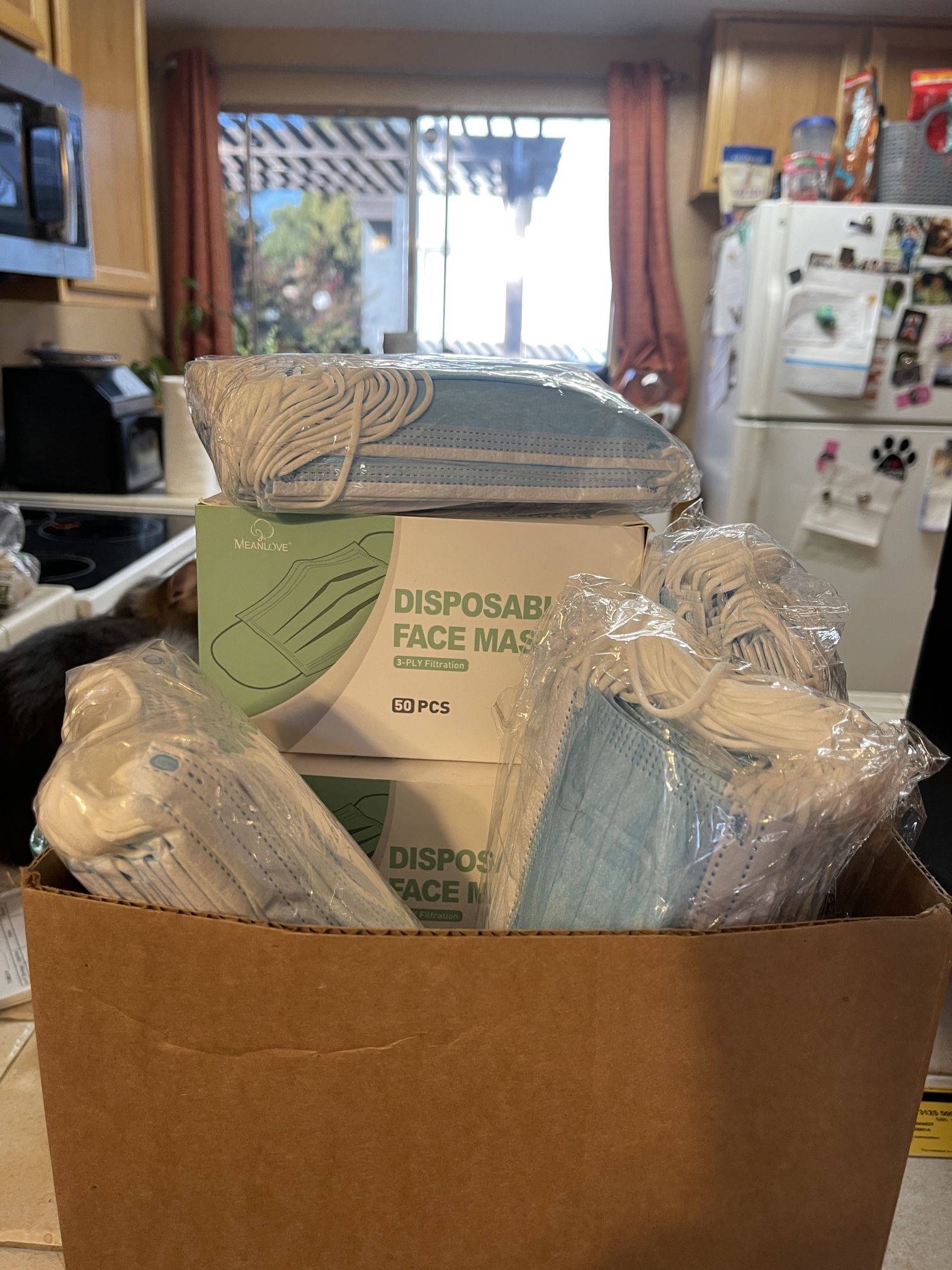 FREE! Disposable Face Masks!