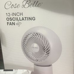 Fan