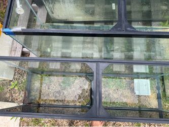 55 gallon aquarium tank