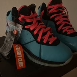 Nike Lebron VIII South Beach Size 11 Men