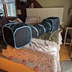 Cat Tunnel
