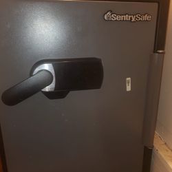 SentrySafe Digital Safe