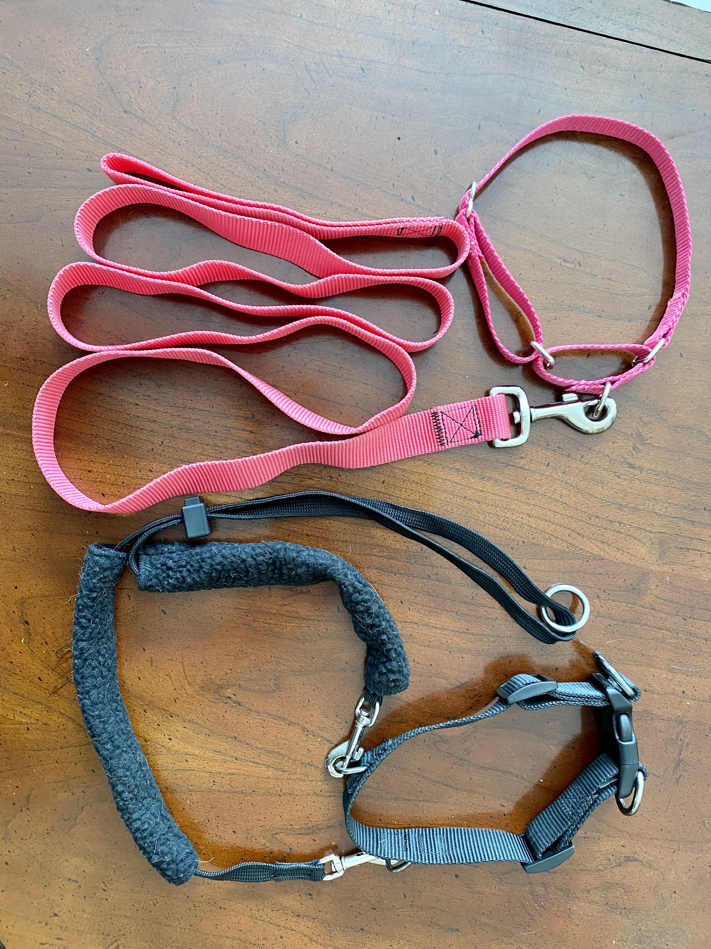 Sm/Med Dog Leash and Harness