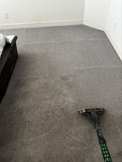 Pet Stain Remover