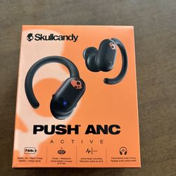 Skullcandy Ear Buds