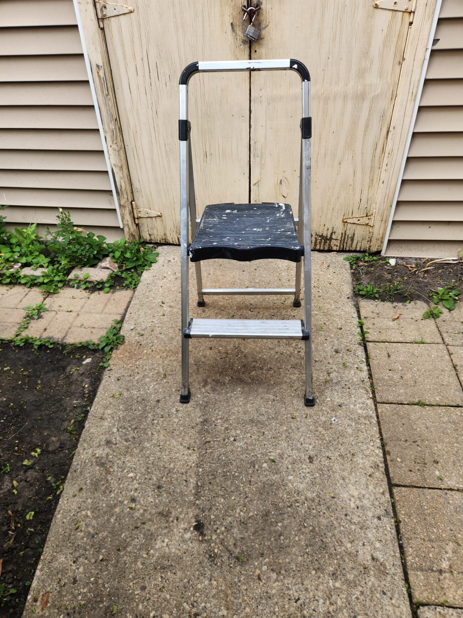 Ladder 2 ft.