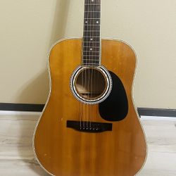 Esteban AL 100 Acoustic Electric Guitar