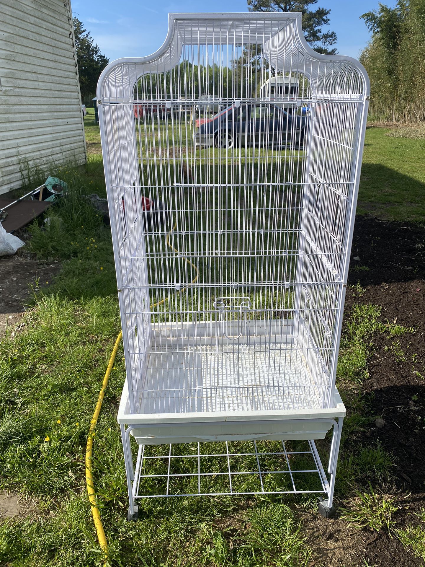 Used Bird Cage